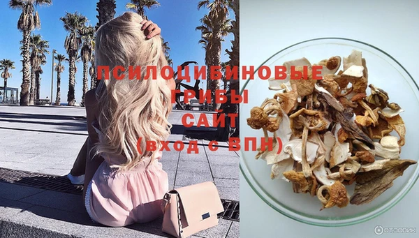 тгк Липки