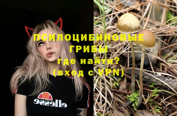 дурь Лиски