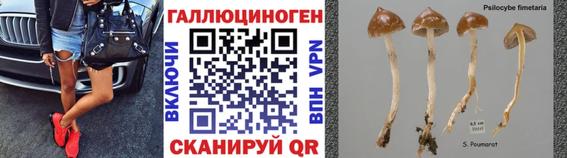 купить наркотик  Астрахань  omg рабочий сайт  Галлюциногенные грибы ЛСД 
