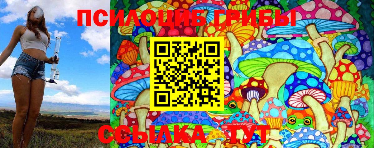 Галлюциногенные грибы Psilocybe  Вход с VPN  Астрахань 